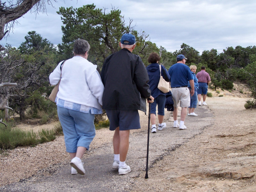 grand canyon tours